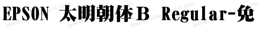 EPSON 太明朝体Ｂ Regular字体转换